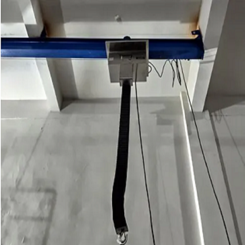 無塵車間單軌吊車